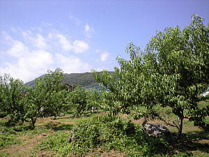 1351.JPG
