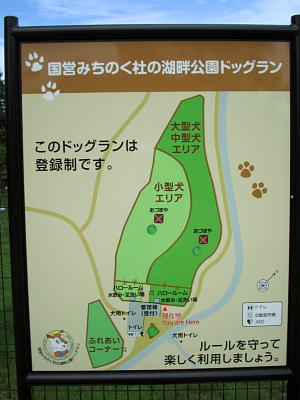 600.jpg