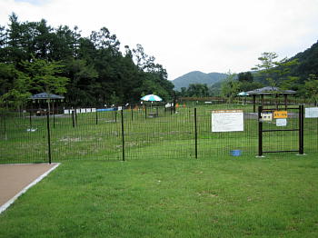 602.jpg
