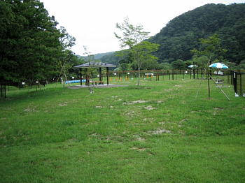 603.jpg